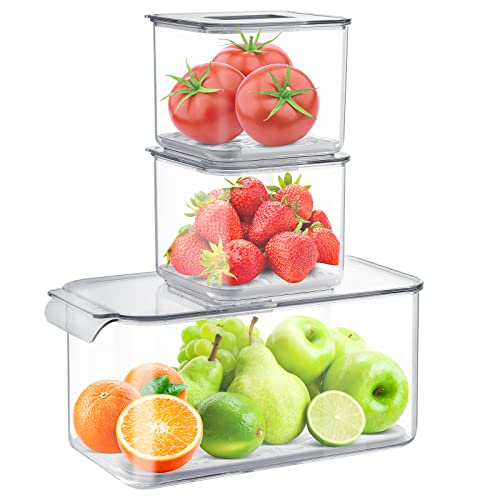 Hossejoy Lot de 3 boîtes de rangement de réfrigérateur de qualité supérieure avec couvercles ventilés, transparent, idéal pour les cuisines, les réfrigérateurs, les armoires Cover