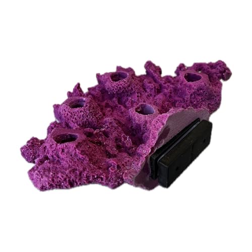 Ocean Aquaria Magnetic Acropora Shelf Coral Frag Plug Rack/Rock for Live Coral Plug Ons (Coralline...