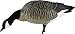 Avian X AXP Honkers Fusion Pack Lesser Canada Goose Decoys, Oversized Realistic Feeder Bodies, Flocked Heads, and Slotted Decoy Bag, Set of 6