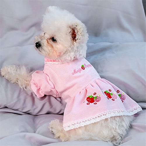 KUTKUT Cotton Blend Summer Cute Skirt Strawberry Stripe Small Dog Dress | Dress for ShishTzu, King Charls, Pug & Other Similar Kind Small Breed Dogs(Size: XL, Chest: 50cm, Back Length: 40cm), 1 Count