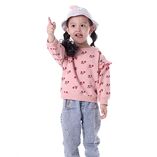 Image of BINIDUCKLING Baby Girl Rainbow Sweatshirt for Girls Long Sleeve Shirt 18 Months-6 Years