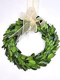 Preserved Boxwood Wreath 6 in. Tradingsmith