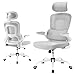 Farini Ergonomic Desk Chair with Adjustable Headrest, Office Chair Executive Chair with Armrest, Gaming Chair with Wheels
