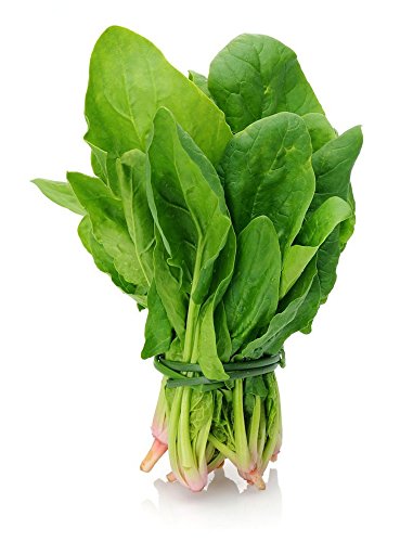 Image of Fresh Spinach /Palak Leaves 1 Bunch (80 - 100 g)Fresh