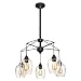 Westinghouse Lighting 6333100 Eldon Five-Light Indoor Chandelier, Oil Rubbed Bronze Finish with Highlights and Clear Seeded Glass 5