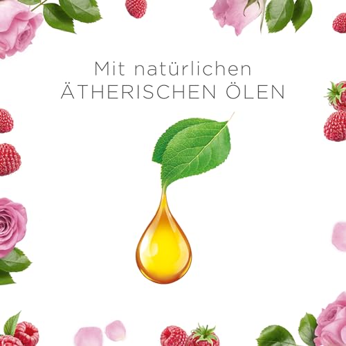 Air Wick Wohlfühl-Duftkerze DUO im Glas – Duft: Raspberry Rose Splash – Enthält natürliche ätherische Öle – Duftkerzenset mit je 2 Kerzen