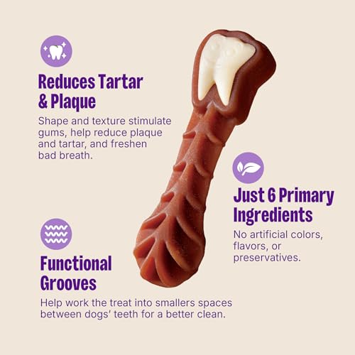 Image of Whimzees Wellness Brushzees Natural Dog Dental Treat, VOHC Accepted Chews, Freshens Breath, Medium Size, Bag, 12 Count, 12.7 Ounce (Pack of 6)