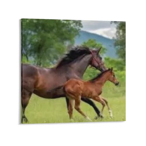 n A[gG i|X^[ (85) LoX |p ǃA[g 摜   Q  z[[N24x24inch(60x60cm)