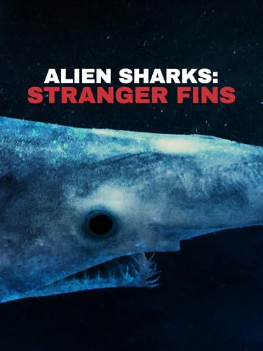 Requins des abysses 3