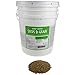 Organic Rye Grain Seeds - 35 Lb Re-Sealable Bucket - Rye Seed / Grains for Flour, Bread, Sprouting, Rye Grass & More
