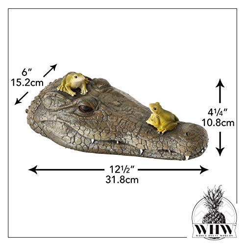 Whw Whole House Worlds Floating Crocodile Head With 2 Frogs, Garden Art Or Decoy For Water, Pools And Ponds, Over 1 Ft Long, (32 Cm) #TOP6