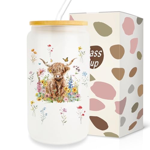 Pfkfo Highland Cow Glass Cups, 16 oz with Lids and Straws - Highland Cow Gifts for Women, Iced Coffee Cup Set