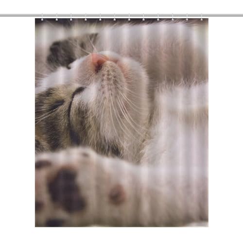 Rideau de douche chat imperméable pour stopper les éclaboussures au sol