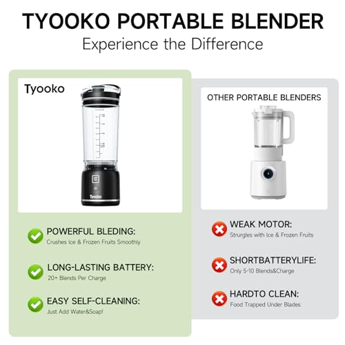 Inexpensive Blender For Ice