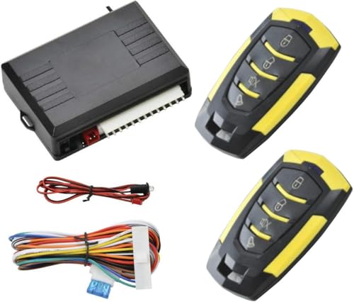 Evita robos con la alarma universal para coche Riloer y su bloqueo central seguro