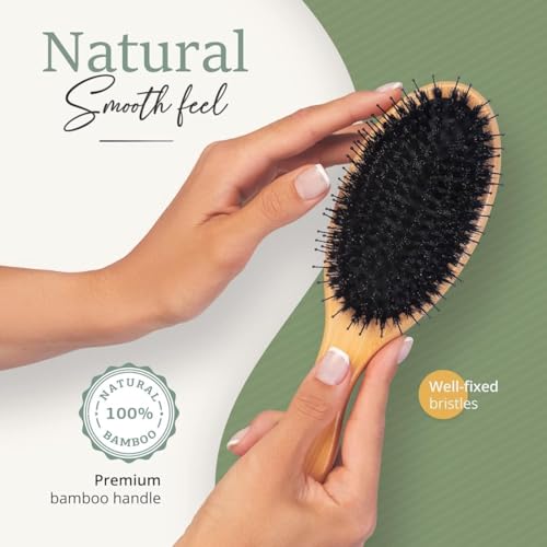 Image of Belula Boar Bristle Hair Brush - Hair Brushes for Women & Mens Hair Brush, Detangler Brush, Hairbrush, Detangling Brush for Long, Curly or Any Type of Hair. (Pack of 2)