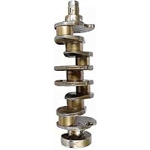 CRANKSHAFT 4892731 1013228 Compatible with Caterpillar CAT C7 3116 3126 Engine