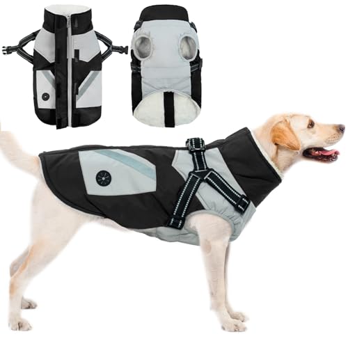 Hundemantel mit Geschirr, Hundejacke Winter Hundemantel mit Bauchschutz Hunderegenmantel Mittelgroße Hunde Hundepullover Wasserdicht(Schwarz, M)