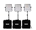 Dracast Pro Series LED1000 Daylight LED 3 Light Kit with V-Mount Battery Plates and Light Stands