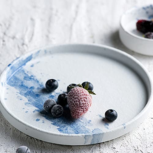 Uaral Dinner Plates,10.5Inch Ceramic Serving Plate Pasta Plates Kitchen Dishes,Set Of 4 (Matte White&Blue) #TOP7