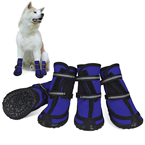 Best Dog Booties Protect Your Pup's Paws in Style