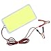 Panneau Lumineux à LED COB avec Clip DC12V/70W Source de Lumière de Perle de Lampe COB Intégrée en Aluminium pour Lampes de Bricolage, Lampes de Pêche, Lampes de Tente(Lumière blanche positive)