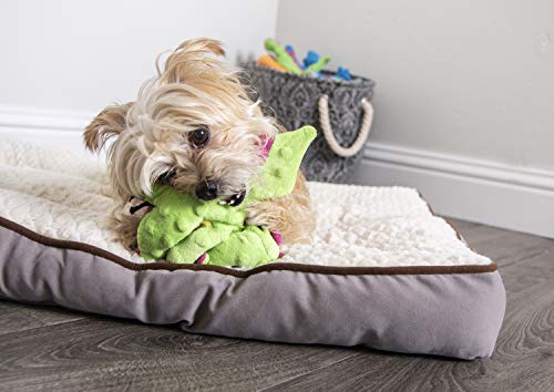 Godog Bubble Plush Dragons Squeaky Dog Toy, Chew Guard Technology - Bright Green, Small #TOP3
