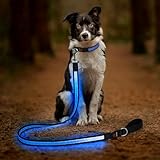 Candofly 4 Ft LED Dog Leash, USB Rechargeable Light Up Dog Leash, 3 Lighting Modes, Glow in The Dark, Nylon Reflective Pet Leashes with Lights for Night Walking (Blue)