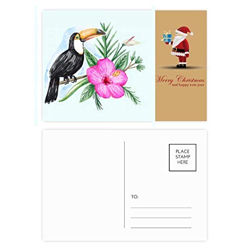 Cartes postales Toco oiseau tropical Ramphastos correspondance Noël originale