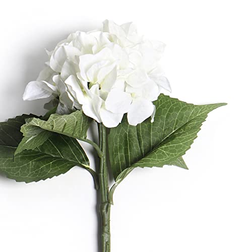 Image of PURE HOME + LIVING Ivory Hydrangea Spray,Off White (Made of Plastic, Wire and Fabric) for Home, Office and Living Room Decorations (Without Vase)(Height-48 CM) Pack of 1