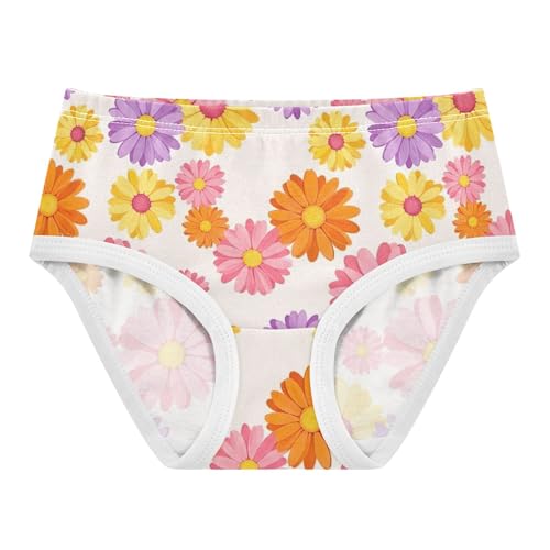 Toddler Girls Underwear 2t Cotton Panties for Girl Fun Kids Briefs Undies Colorful Daisy Flowers Pink Purple