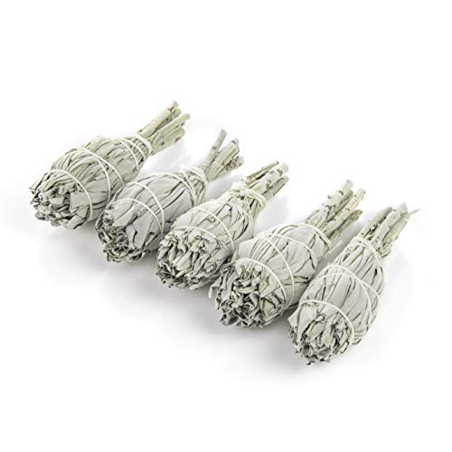 Heka Naturals Hastes de Incenso de Sálvia para Mancha: 5 Palitos de manolhos de sálvia branca | Arder sálvia para eliminar a energia negativa e purificar | 5 peças de 7,5 - 10 cm