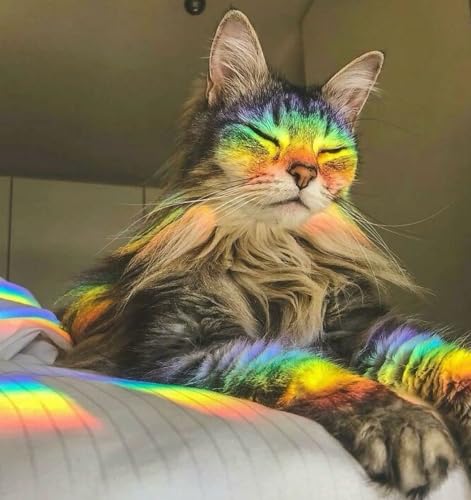 Image of Rainbow Window Stickers, 18 Pcs Prism Window Cling for Windows Bird Deterrent, Sun Catcher Sticker (2 Sheets)