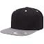 Black/Silver