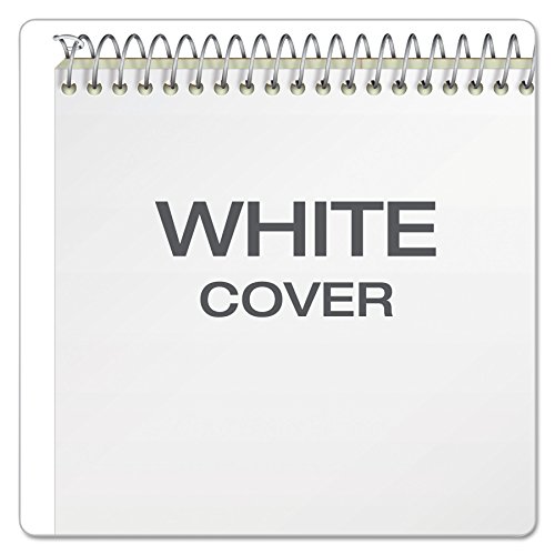 Ampad Steno Pads, Gregg Rule, Green Cover, 80 Green-Tint 6 X 9 Sheets, 6/Pack #TOP5