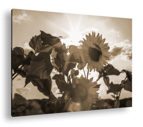 Décoration murale tournesols au soleil sépia 90 x 60 cm