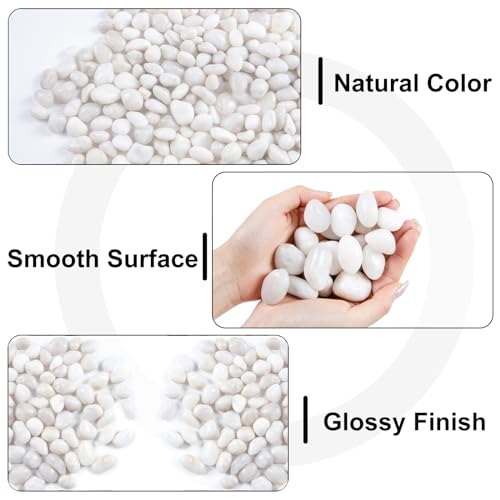 Image of 20lb White River Rock- High Polished Pebbles for Indoor Plants- Decorative Stones for Aquarium Fish Tank - White Rocks for Outdoor Garden Landscaping - 0.3 inch-0.8 inch