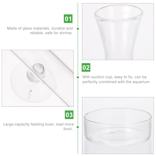 Contenedor de alimentación resistente de cristal transparente y elegante de 35 cm 8