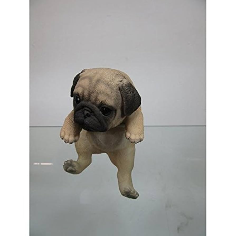 Amazon.co.jp: 東洋石創 ドッグオーナメント(パグ) 14209