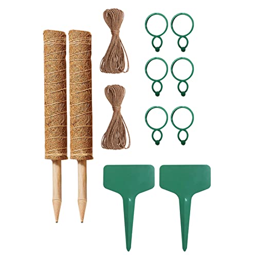 Coniya Kit De Columna De Seda,Kit de Columna de Seda de Coco Plantas trepadoras Soporte tótem retener la Humedad Crecer Mejor Cover