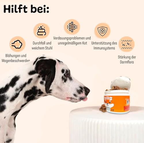 Probiotika Hund - (135 Verdauungssnacks + 9 Milliarden KBE) - Natürliches Supplement bei Durchfall für Verdauung & Darmflora