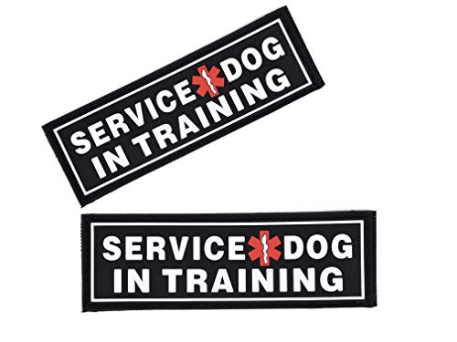 Dogline Service Dog in Training Patches für Geschirr und Weste Abnehmbare 3D Rubber Patches mit Haken Rückseite für kleine, mittlere oder große Arbeitshunde, 1.5" x 4" - Two Patches Cover