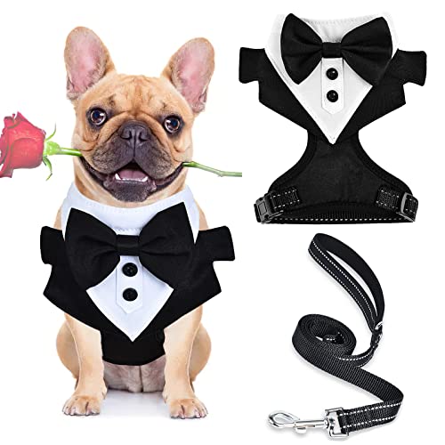 Dog Harness for Small Dogs, Stripe Chihuahua Harness with Leash, Cute Puppy Harness, Dog Vest Harness, No Choke Dog Harness (Harness+Rope, Medium)