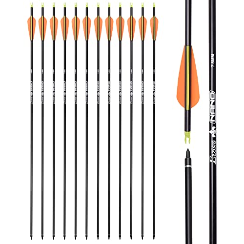 ELONG OUTDOOR Flèches de Chasse en Carbone avec Pointes Amovibles de 100 Grains pour tir à l'arc...