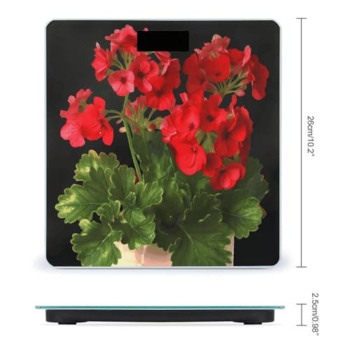 Báscula de baño digital color rojo geranios 400lb LCD miniatura 2