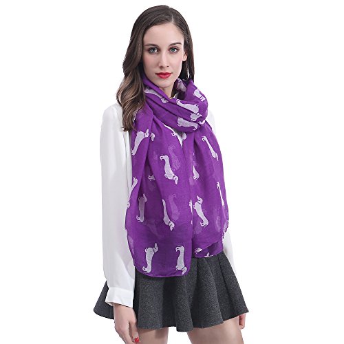 Dachshund Dog Print Women's Scarf Shawl Wrap Lightweight2