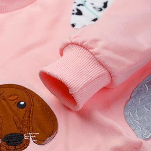 Toddler Baby Girls Sweatshirts Crewneck Pullover Long Sleeve Shirts Tops Girl Fall Winter Clothes 2-8T 6