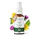 BitterKraft! Original BIO Bittertropfen 20ml Spray - Bitterstoffe nach Hildegard von Bingen - Bittertropfen aus 9 erlesenen Bitterkräutern - 100% Natur - Made in Germany