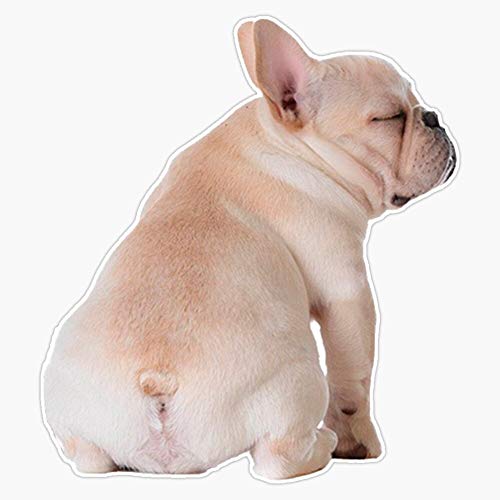 French Bulldog Vinyl Waterproof Sticker Decal Car Laptop Wall Win...