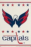 Washington Capitals Logo 2014 NHL 22